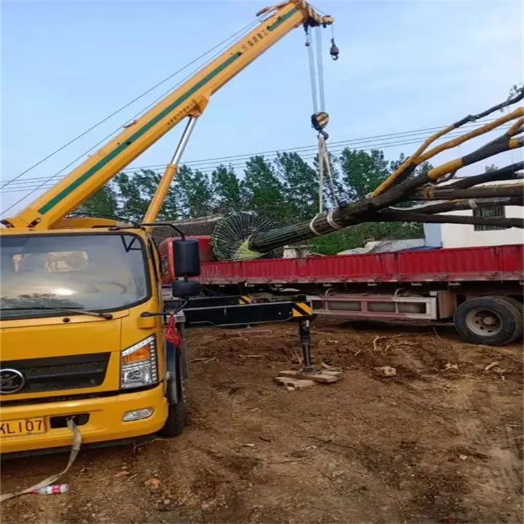 崇阳100吨吊车租赁费用怎么算？3大关键因素+省钱技巧全解析